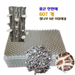 표고버섯종균 607구올해백화고수확 느타리 송화버섯종균