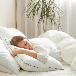 모어슬립 구스다운필 고밀도 순면 베개솜 2컬러