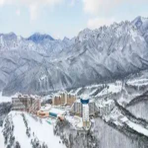 [강원] 소노캄 델피노 C동(강원호텔/고성호텔/고성소노캄 델피노 C동)