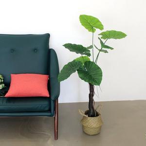 [조아트]인조나무 조화 화분 인테리어 라인 알로카시아 110cm