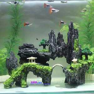 어항장식품세트 수족관장식품 조경석 돌 잔디 어항