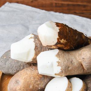 안동 참마 산마[못난이] 5kg