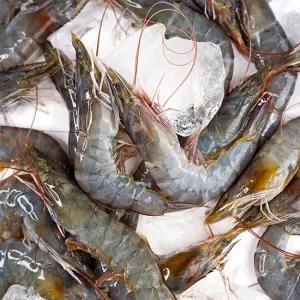 신선한 급냉 신안 흰다리새우 1kg (40미 내외)