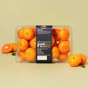 돌빌레슈타인 하우스감귤 1.4kg 팩