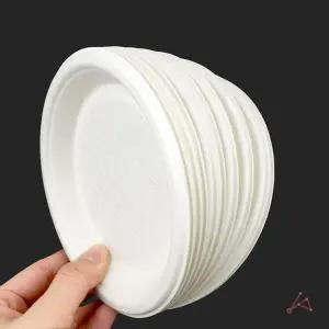 친환경 식물성 종이접시 10P 홈파티 야외용 일회용앞접시