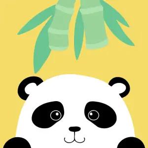 피포페인팅 HP10111 아기 팬더 그림그리기세트 미니 20x20