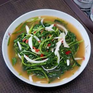 [NS홈쇼핑]100% 국내산 시원한 전라도 열무물김치 5kg 열무자박이 얼갈이 자박이 국산김치..[35291908]