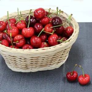 새새콤달콤 생체리 1kg(26mm/10Row)