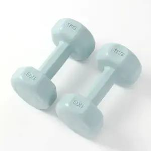 여성용 덤벨 홈트 입문용 육각 아령 세트 2P 1KG 블루