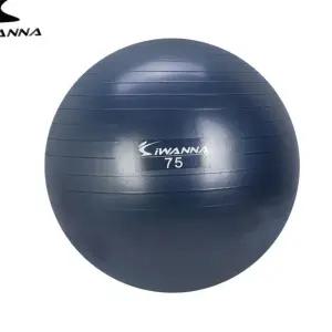 L95 안티버스트 짐볼 75cm 블루인디고 테스 헬스 운동