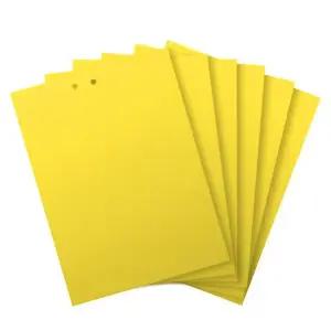 해충 파리 초강력 끈끈이 트랩 끈끈이 20x30 20매/날파리/퇴치제/벌레/찍찍이/강력/초파리/퇴치/테이프