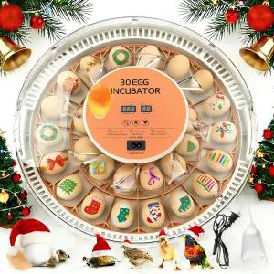 자동 계란 회전 온도 제어 및 습도 모니터를 갖춘 하우우아 30 인큐베이터 부화 알 닭 오리 거위 비둘기