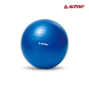 [핫트랙스]ksr 스타 마사지 미니 짐볼 블루 45cm(WFJNE5K)