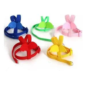 앵무새 외출 발목링 하네스 리드줄 가슴줄 산책 조류용품