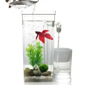 해수어 구피 베타 키우기 자동 금붕어 어항 청소 물멍