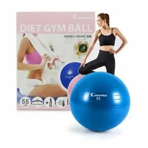 안티버스트테스볼 홈트스트레칭짐볼 55cm블루스트레칭볼 테스용