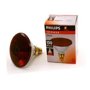 필립스 적외선 전구 150W 적외선조사기전구 보온등