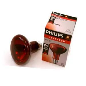 필립스 적외선 전구 100W 보온등