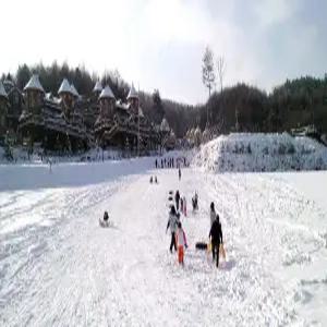 [강원] 평창 숲속의요정(강원, 평창)