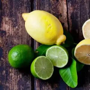 [거북농산]멕시코산 생 라임 3kg