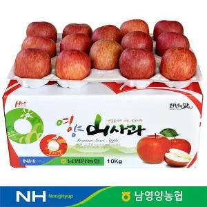 경북 영양농협 사과 상품 10kg 46-50과