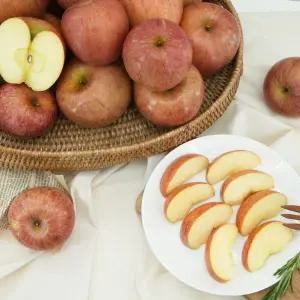 갤러리아 맛있는 경북 부사 사과 가정용 중대과 10kg