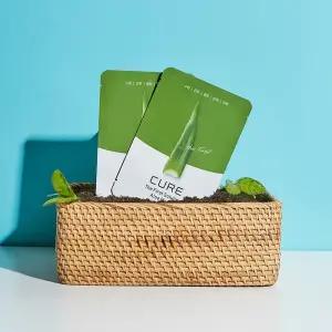 [15%+카드12%] 김정문알로에 큐어 더 퍼스트 솔루션 알로에 마스크 10매 2개