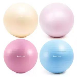 이고진 짐볼 65cm 요가 필라테스 임산부 안티버스트 스트레칭