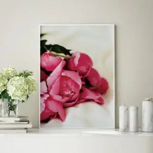 [텐바이텐]아무르 모란 목단 꽃 그림 인테리어 액자