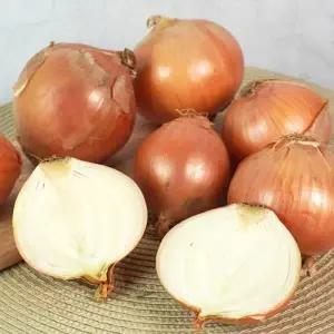 국내산 단단한 무안 햇 양파 : 소 10kg