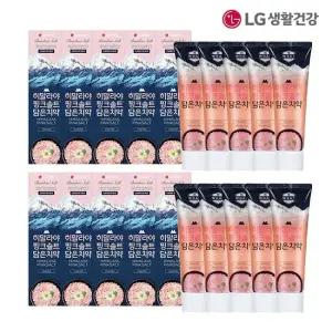 히말라야 핑크솔트 플로럴민트 치약 100g 10개