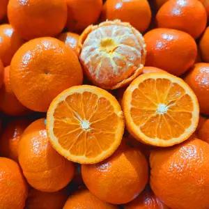 캘리포니아 만다린 진한 감귤 2kg