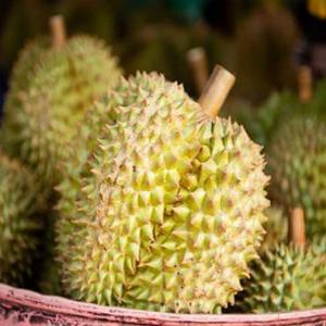 생과 수입두리안 열대과일 통두리안 태국 생두리안 3.5kg 후숙 생과일 수입