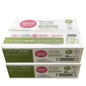 햇반 발아 현미밥 210g 36개