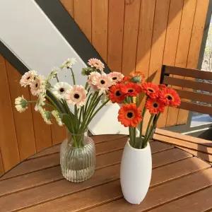 오후의 꽃 미니거베라 피콜리니 5송이 생화 택배 꽃배달 싼곳