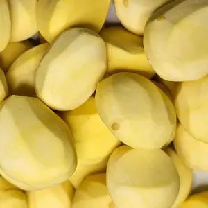 티에이치몰 구쁜참 공주 국산 깐밤 대 500g 국내산 생밤 캠핑 요리 간식