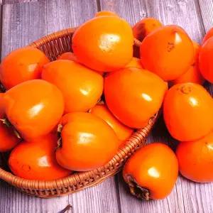 국내산 고당도 대봉감 5kg 홍시 대봉시