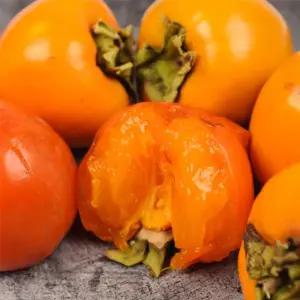 G) 후숙할수록 진 한 당도의 달콤한 영암 대봉감 5kg 20과내 중대과