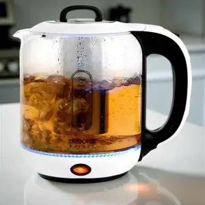 열탕기 전기 차탕기 물 끓이는 홍삼 달임기 가정용 강화 유리 약탕기 1.7L