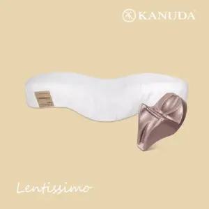 골드라벨 렌티시모 Soft 싱글세트 베개+머리냅1) 경추 기능성 베개