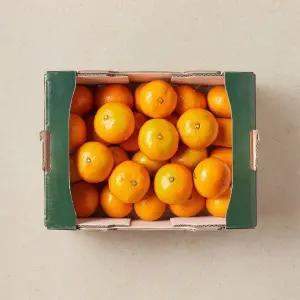 [기획] 노지 감귤 (점보과) 3kg 박스