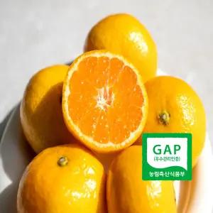 서귀포 GAP인증 AI당도선별 노지 하우스 감귤 5kg 중대과 L 2L 제철 과일 LD
