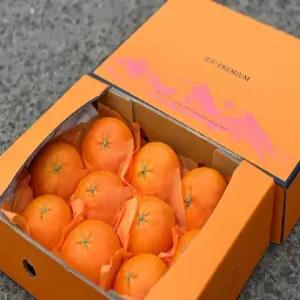 당일수확 당일선별 고당도 명품 제주 천혜향 가정용 선물용 5kg