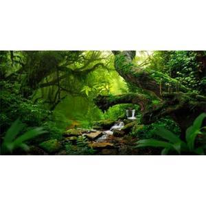 Dtekoj 30X18IN 열대림 녹색 거대 나무 파충류 서식지 수족관 배경 자연 경관 열대우림 어항 장식 예술 테라리움