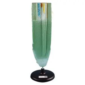 식물뿌리모형 종단면 생물학 실습 학생 분리형 교육