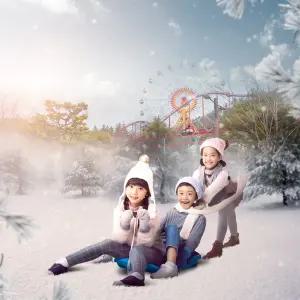 [김해]가야랜드 눈썰매 패키지/사계절썰매/경남/눈썰매/테마파크/김해테마파크/놀이공원/경남놀이공원