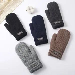 남녀공용 5컬러 클래식한 겨울 꽈배기 벙어리장갑 (WFKB3R6)