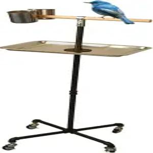 스테인리스 스틸 트레이 볼 버드 퍼치 스탠드 휠 앵무새 패럿 컵 2개 실내 야외용 플레이 스탠드블랙