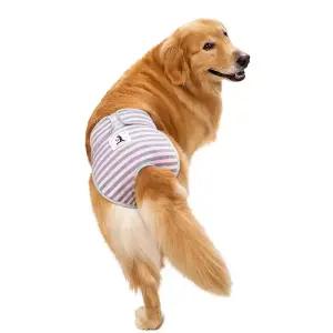 대형견 생리팬티 위생팬티 배변