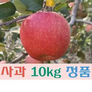 (팔공산농원) 사과(부사) 10kg 정품
